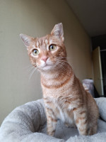 /album/26-02-20261/whatsapp-image-2026-02-26-at-17-59-55-3-jpeg/